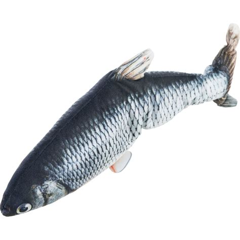 Wriggly sushi fish .